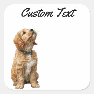 Looking Up Puppy-3 | Personalized Custom Text Square Sticker