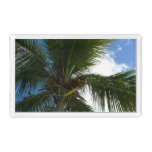 Looking Up to Coconut Palm Tree Tropical Nature Acrylic Tray