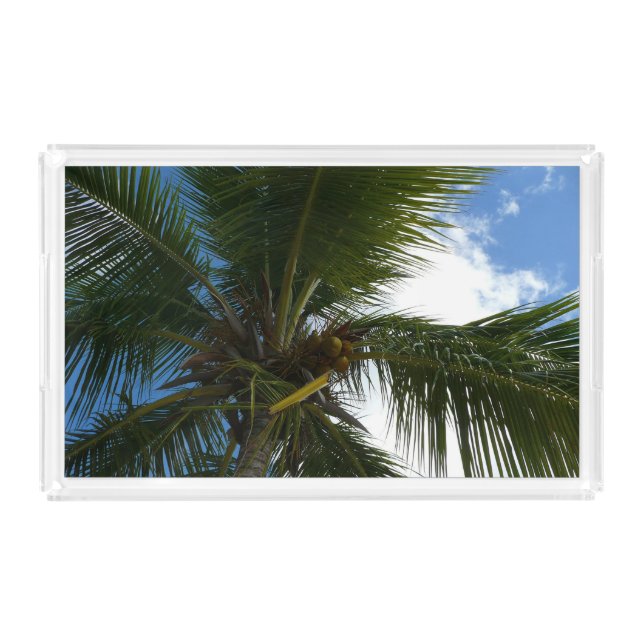 Looking Up to Coconut Palm Tree Tropical Nature Acrylic Tray (Front)
