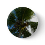 Looking Up to Coconut Palm Tree Tropical Nature Button