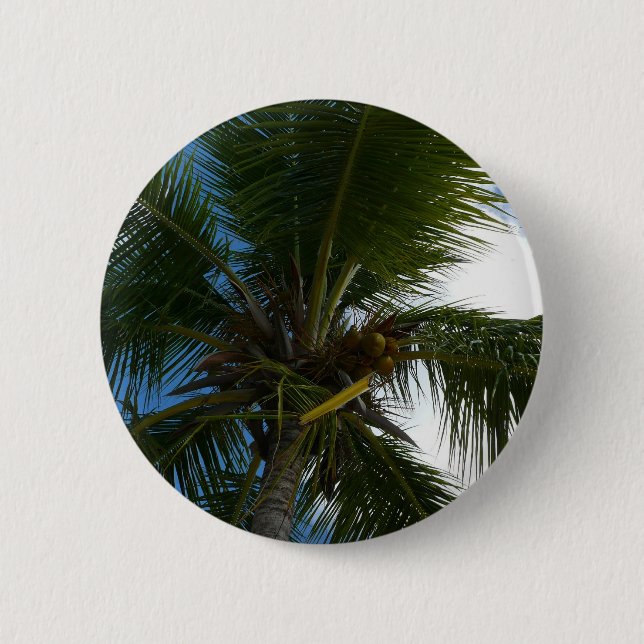 Looking Up to Coconut Palm Tree Tropical Nature Button (Front)