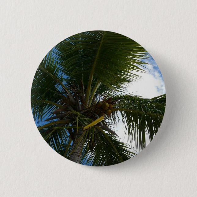 Looking Up to Coconut Palm Tree Tropical Nature Button (Front)