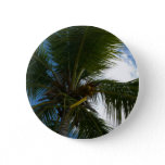 Looking Up to Coconut Palm Tree Tropical Nature Button