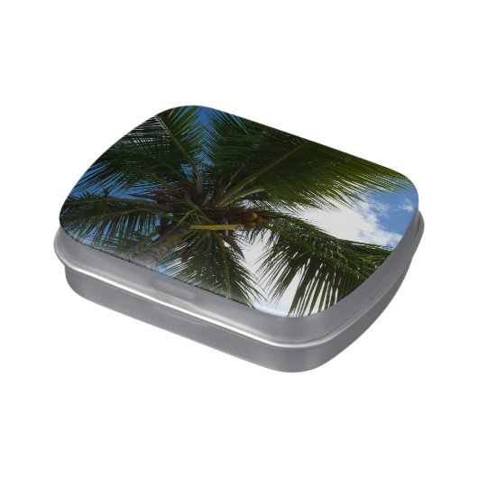 Looking Up to Coconut Palm Tree Tropical Nature Candy Tin (Side)