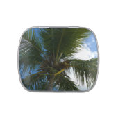 Looking Up to Coconut Palm Tree Tropical Nature Candy Tin (Top)