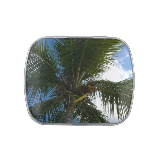 Looking Up to Coconut Palm Tree Tropical Nature Candy Tin (Top)
