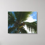 Looking Up to Coconut Palm Tree Tropical Nature Canvas Print