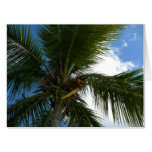 Looking Up to Coconut Palm Tree Tropical Nature Card