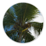 Looking Up to Coconut Palm Tree Tropical Nature Ceramic Knob