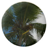 Looking Up to Coconut Palm Tree Tropical Nature Chocolate Covered Oreo (Front)