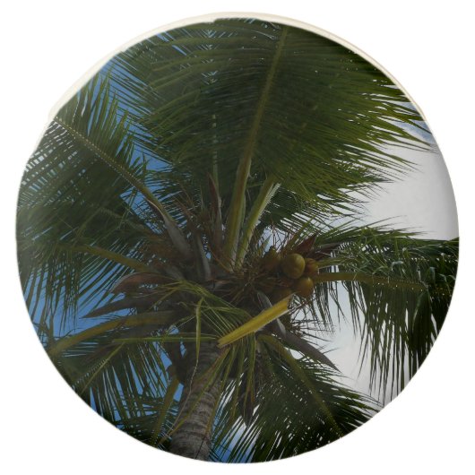 Looking Up to Coconut Palm Tree Tropical Nature Chocolate Covered Oreo (Front)