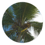 Looking Up to Coconut Palm Tree Tropical Nature Classic Round Sticker