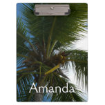 Looking Up to Coconut Palm Tree Tropical Nature Clipboard