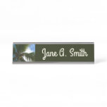 Looking Up to Coconut Palm Tree Tropical Nature Desk Name Plate
