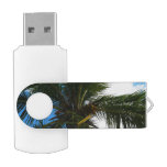 Looking Up to Coconut Palm Tree Tropical Nature Flash Drive