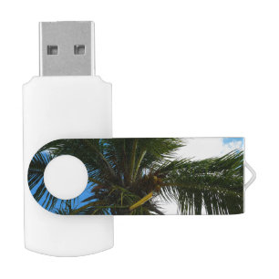 Looking Up to Coconut Palm Tree Tropical Nature Flash Drive