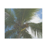 Looking Up to Coconut Palm Tree Tropical Nature Gallery Wrap
