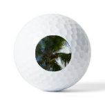 Looking Up to Coconut Palm Tree Tropical Nature Golf Balls