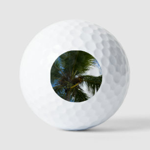 Looking Up to Coconut Palm Tree Tropical Nature Golf Balls