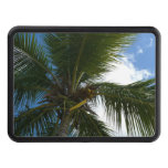 Looking Up to Coconut Palm Tree Tropical Nature Hitch Cover