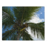 Looking Up to Coconut Palm Tree Tropical Nature Jigsaw Puzzle