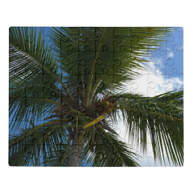 Looking Up to Coconut Palm Tree Tropical Nature Jigsaw Puzzle (Puzzle Horizontal)