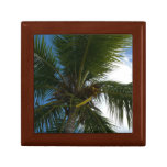 Looking Up to Coconut Palm Tree Tropical Nature Keepsake Box