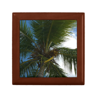Looking Up to Coconut Palm Tree Tropical Nature Keepsake Box