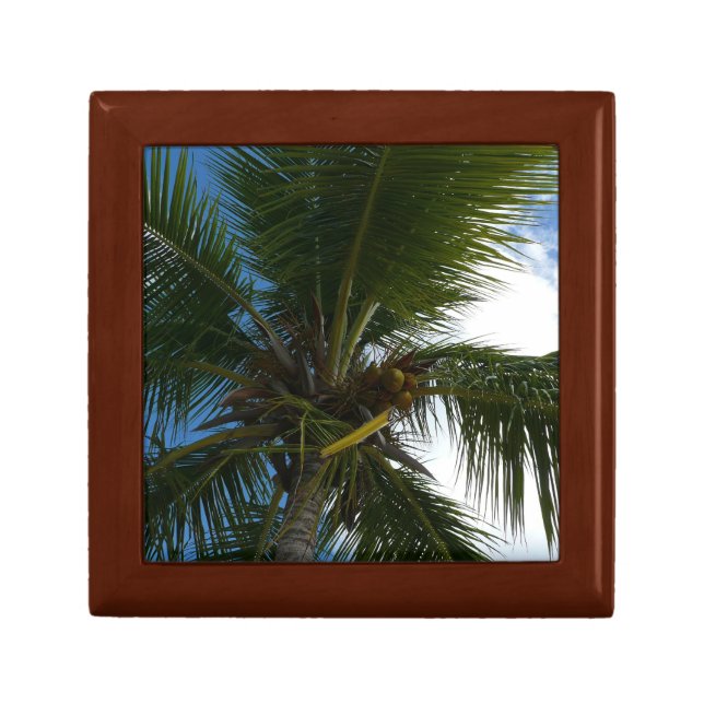 Looking Up to Coconut Palm Tree Tropical Nature Keepsake Box (Front)