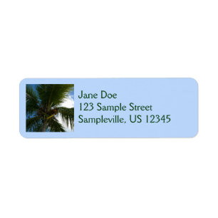 Looking Up to Coconut Palm Tree Tropical Nature Label