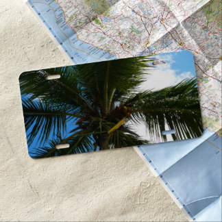 Looking Up to Coconut Palm Tree Tropical Nature License Plate