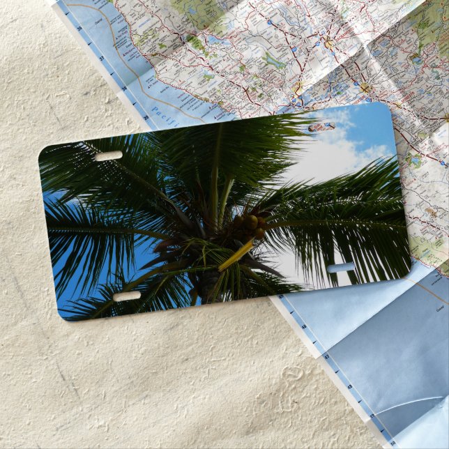 Looking Up to Coconut Palm Tree Tropical Nature License Plate (In Situ)