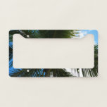 Looking Up to Coconut Palm Tree Tropical Nature License Plate Frame