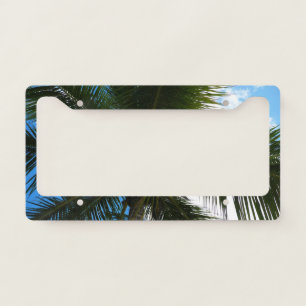 Looking Up to Coconut Palm Tree Tropical Nature License Plate Frame