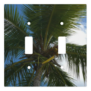 Looking Up to Coconut Palm Tree Tropical Nature Light Switch Cover