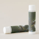 Looking Up to Coconut Palm Tree Tropical Nature Lip Balm