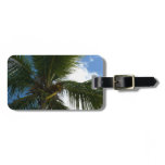 Looking Up to Coconut Palm Tree Tropical Nature Luggage Tag