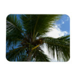 Looking Up to Coconut Palm Tree Tropical Nature Magnet