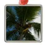 Looking Up to Coconut Palm Tree Tropical Nature Metal Ornament