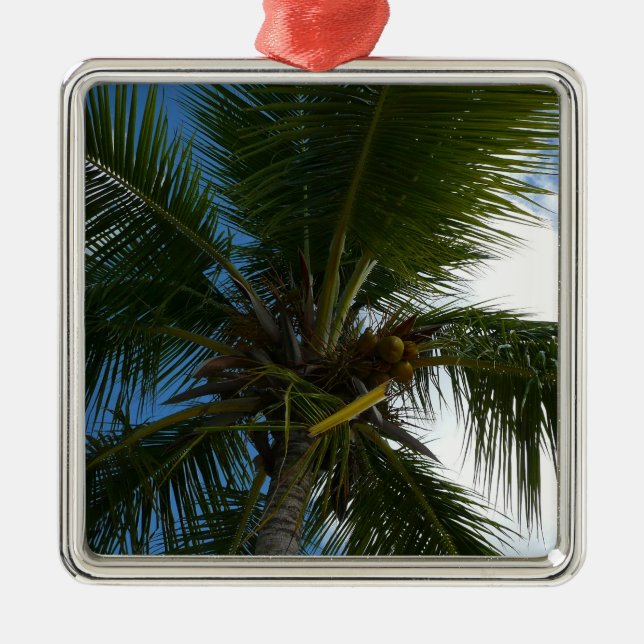 Looking Up to Coconut Palm Tree Tropical Nature Metal Ornament (Front)