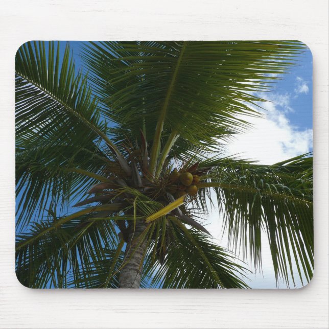 Looking Up to Coconut Palm Tree Tropical Nature Mouse Pad (Front)