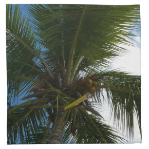 Looking Up to Coconut Palm Tree Tropical Nature Napkin