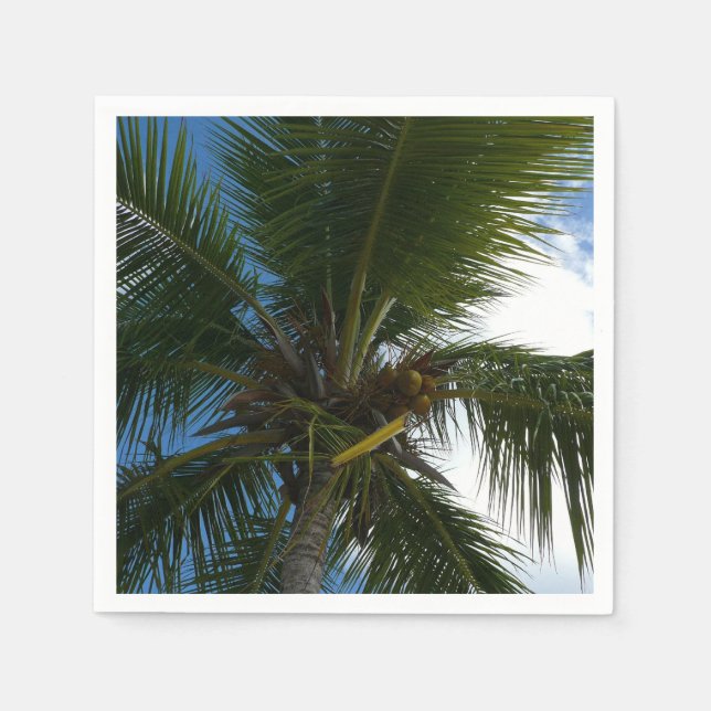 Looking Up to Coconut Palm Tree Tropical Nature Napkins (Front)