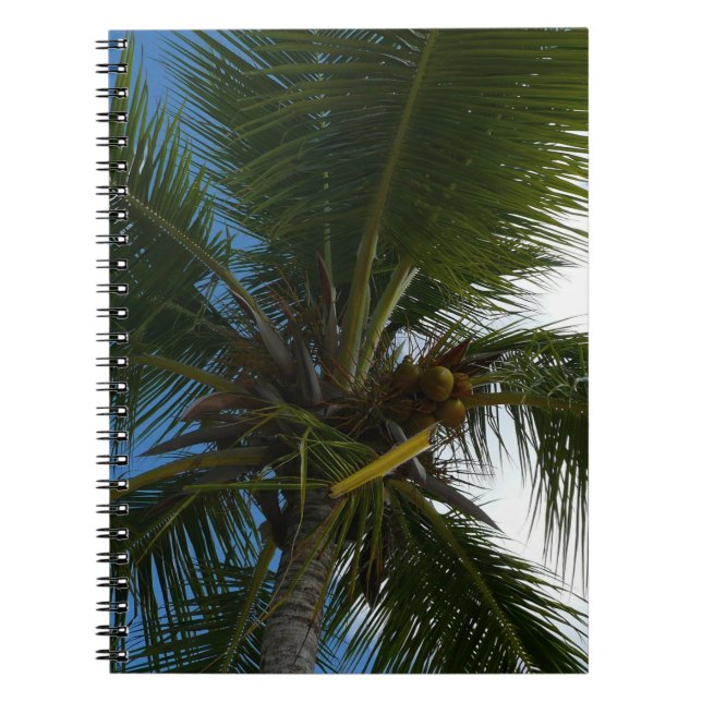 Looking Up to Coconut Palm Tree Tropical Nature Notebook (Front)