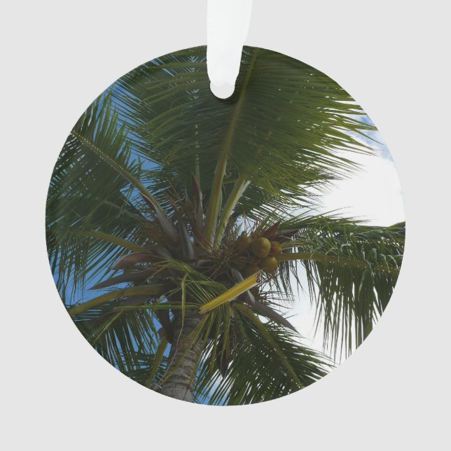 Looking Up to Coconut Palm Tree Tropical Nature Ornament (Front)