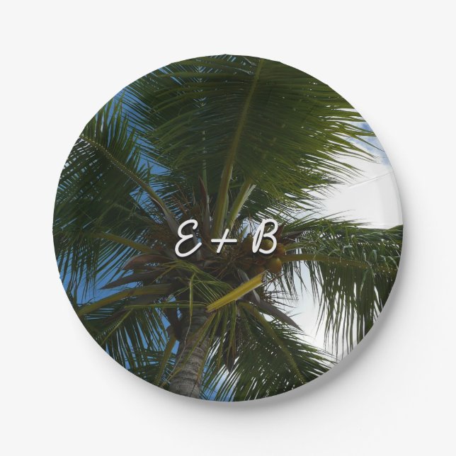 Looking Up to Coconut Palm Tree Tropical Nature Paper Plates (Front)