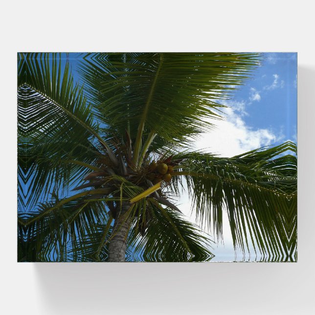 Looking Up to Coconut Palm Tree Tropical Nature Paperweight (Front)