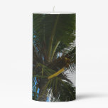 Looking Up to Coconut Palm Tree Tropical Nature Pillar Candle