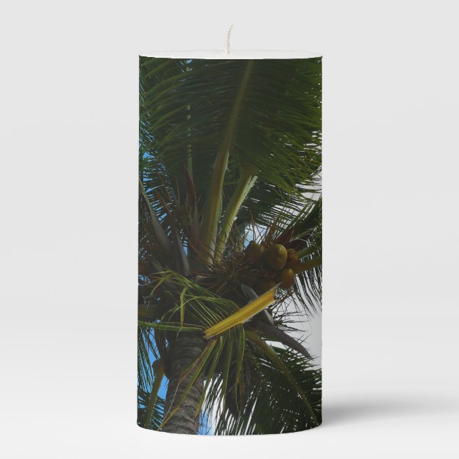 Looking Up to Coconut Palm Tree Tropical Nature Pillar Candle (Front)