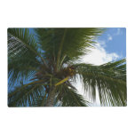 Looking Up to Coconut Palm Tree Tropical Nature Placemat